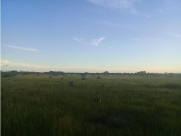 Cortijo de alto standing de 9600000 m2 en venta San Martín, Departamento del Meta