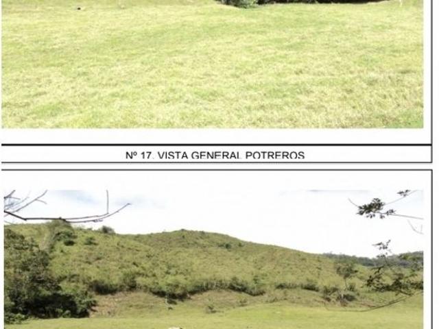 Cortijo de alto standing en venta Cocorote, Estado Yaracuy