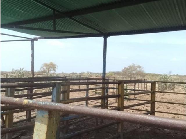 Cortijo de alto standing en venta Calabozo, Estado Guárico
