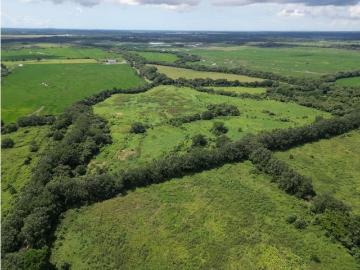 Cortijo de alto standing en venta Chepo, Provincia de Panamá