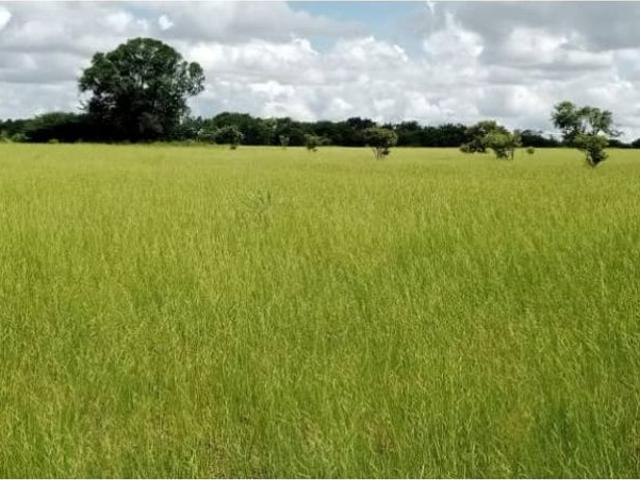 Cortijo de alto standing en venta Ciudad Bolívar, Venezuela