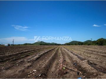 Cortijo de alto standing en venta Ciudad de Armería, México