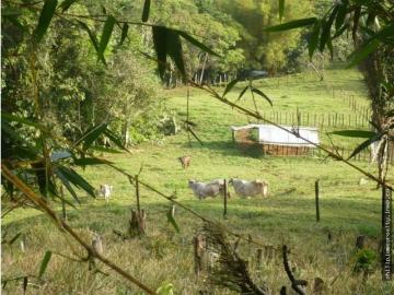 Cortijo de alto standing en venta Ciudad de Panamá, Panamá