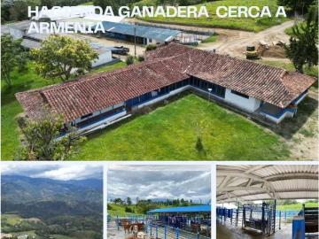 Cortijo de alto standing en venta Circasia, Quindío Department