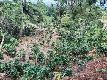 Cortijo de alto standing en venta Alto Boquete, Panamá