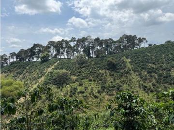 Cortijo de alto standing en venta Alcalá, Colombia