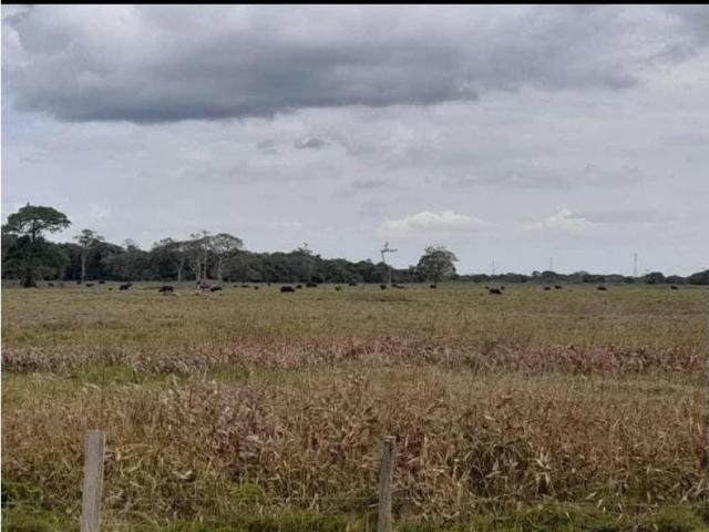 Cortijo de alto standing en venta Arismendi, Venezuela