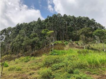 Cortijo de alto standing en venta Armenia, Quindío Department