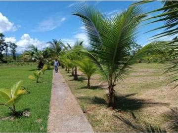 Cortijo de alto standing en venta Bocas del Toro, Panamá