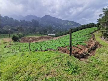 Cortijo de alto standing en venta Boquete, Panamá
