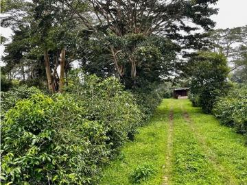 Cortijo de alto standing en venta Boquete, Provincia de Chiriquí