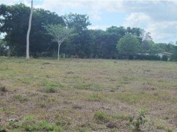 Cortijo de alto standing en venta Boquerón, Provincia de Colón 130106 LuxuryEstate. Com