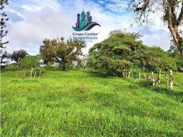 Cortijo de alto standing en venta Boquerón, Provincia de Colón 130651 LuxuryEstate. Com