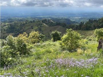 Cortijo de alto standing en venta Boquerón, Provincia de Colón