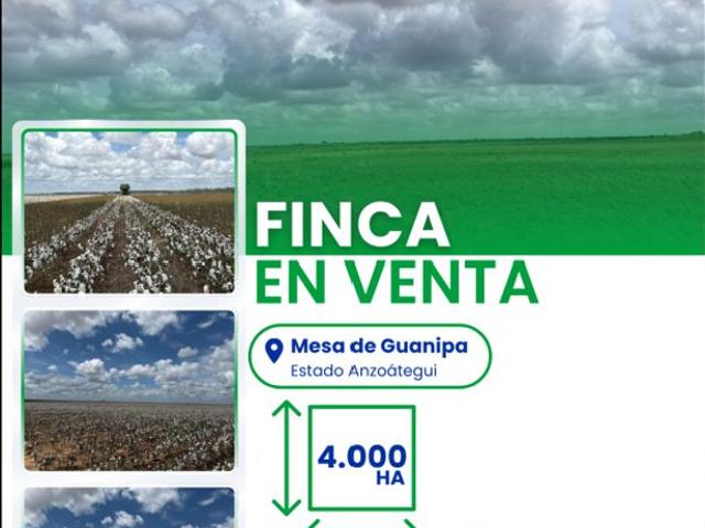 Cortijo de alto standing en venta Barcelona, Estado Anzoátegui