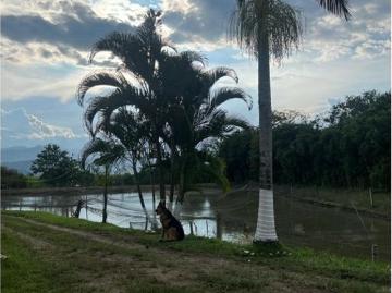 Cortijo de alto standing en venta Belalcázar, Departamento de Caldas