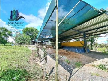 Cortijo de alto standing en venta Bugaba, Provincia de Chiriquí