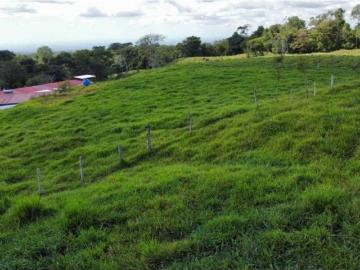 Cortijo de alto standing en venta Bugaba, Provincia de Chiriquí 130652 LuxuryEstate. Com