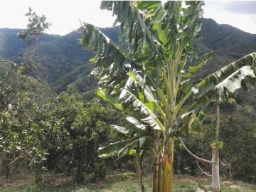 Cortijo de alto standing en venta Girón, Colombia