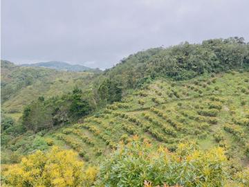 Cortijo de alto standing en venta Granada, Departamento de Sucre