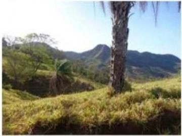 Cortijo de alto standing en venta Gualaca, Provincia de Chiriquí 130651 LuxuryEstate. Com