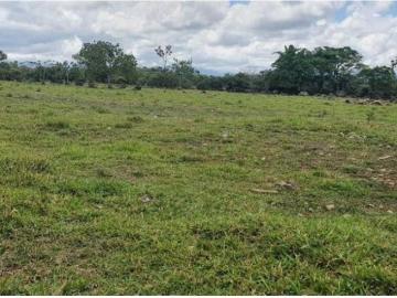 Cortijo de alto standing en venta Dolega District, Panamá