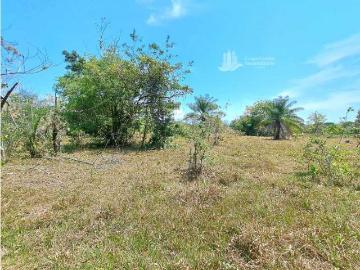Cortijo de alto standing en venta Dolega District, Panamá 130652 LuxuryEstate. Com