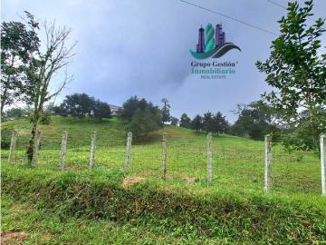 Cortijo de alto standing en venta Dolega District, Provincia de Chiriquí