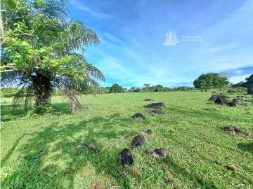 Cortijo de alto standing en venta Dolega District, Provincia de Chiriquí