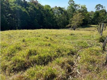 Cortijo de alto standing en venta Dolega District, Provincia de Chiriquí