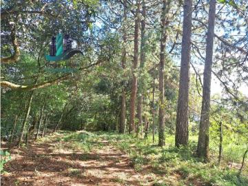 Cortijo de alto standing en venta Dolega District, Provincia de Chiriquí