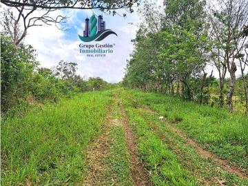 Cortijo de alto standing en venta Dolega District, Provincia de Chiriquí