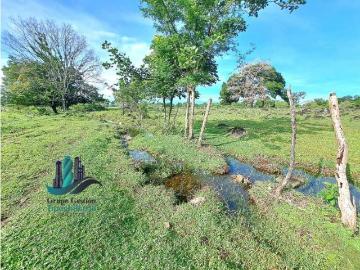 Cortijo de alto standing en venta Dolega District, Provincia de Chiriquí 130652 LuxuryEstate. Com
