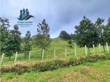 Cortijo de alto standing en venta Dolega District, Provincia de Chiriquí 130652 LuxuryEstate. Com