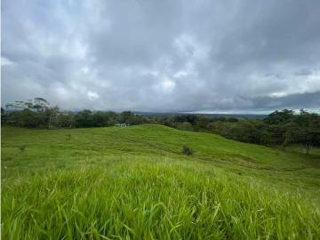Cortijo de alto standing en venta Dolega District, Provincia de Chiriquí