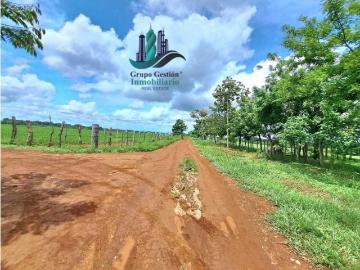 Cortijo de alto standing en venta David, Panamá 130652 LuxuryEstate. Com