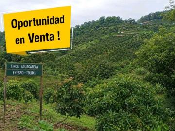 Cortijo de alto standing en venta Fresno, Colombia