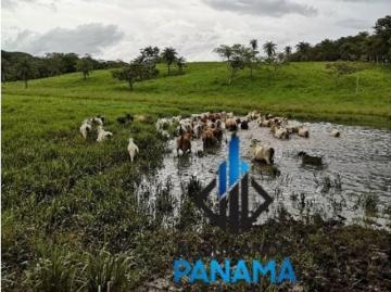 Cortijo de alto standing en venta Horconcitos, Panamá 129274 LuxuryEstate. Com