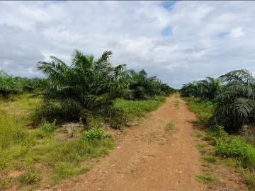 Cortijo de alto standing en venta Horconcitos, Panamá
