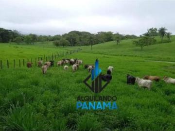 Cortijo de alto standing en venta Horconcitos, Panamá