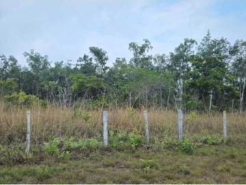 Cortijo de alto standing en venta Horconcitos, Provincia de Chiriquí