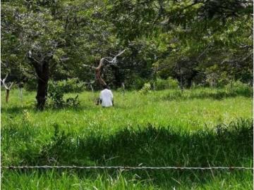 Cortijo de alto standing en venta Horconcitos, Provincia de Chiriquí