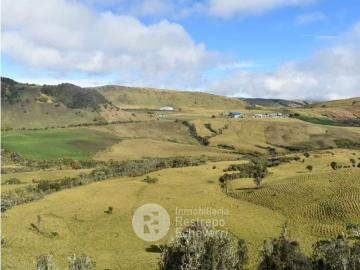 Cortijo de alto standing en venta Herveo, Colombia