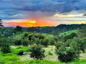 Cortijo de alto standing en venta Herveo, Departamento de Tolima