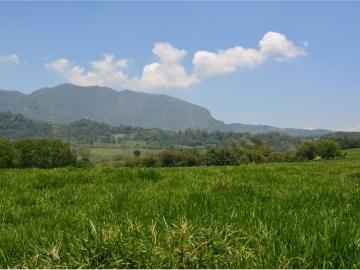 Cortijo de alto standing en venta Jericó, Departamento de Antioquia