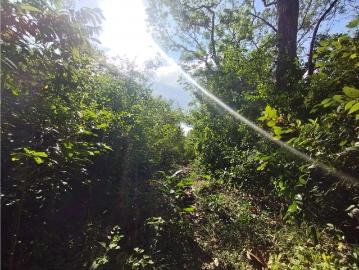 Cortijo de alto standing en venta La Chorrera, Panamá Oeste 131283 LuxuryEstate. Com