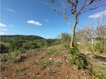 Cortijo de alto standing en venta La Chorrera, Panamá Oeste 131215 LuxuryEstate. Com