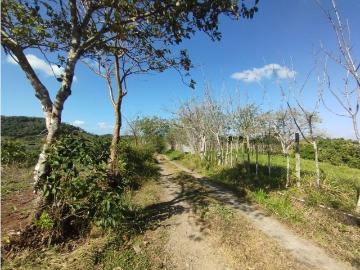 Cortijo de alto standing en venta La Chorrera, Panamá Oeste