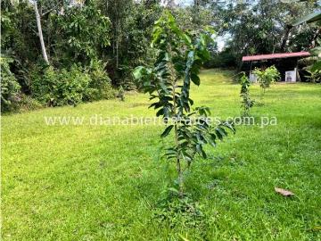 Cortijo de alto standing en venta La Chorrera, Panamá Oeste