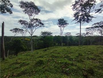 Cortijo de alto standing en venta La Chorrera, Panamá 131038 LuxuryEstate. Com